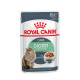 Royal Canin FCN Digestive Care Sauce 85 gr.