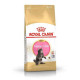  Royal Canin FBN  Kitten Maine Coon 10kg