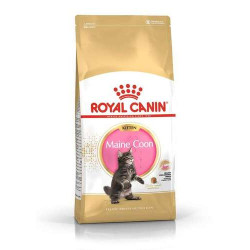  Royal Canin FBN  Kitten Maine Coon 2kg