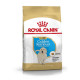 Royal Canin BHN Golden Retriev. Puppy 12kg