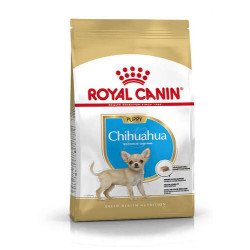 Royal Canin Hundefutter Trocken BHN Chihuahua Junior 500g