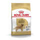 Royal Canin BHN Golden Retriever 12kg