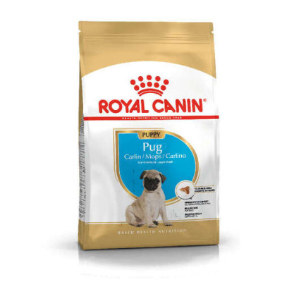 Royal Canin BHN Pug Junior 1.5kg