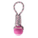 Dog toy rope with tennis ball and handle, assorted colors 28cm