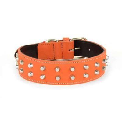 Collier en cuir pour Mastiff, orange 4,5x55 cm