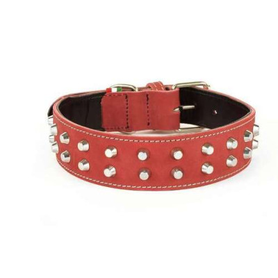 Collier en cuir pour Mastiff, rouge 4,5x68 cm