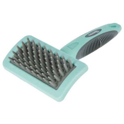 Brosse de massage 18x12 cm