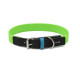 Collier pour chiens en PVC, vert 40x2 cm