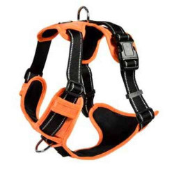 Harnais Rando Walk L 46-70x2,5 cm orange