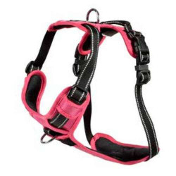 Harnais Rando Walk M 40-63x2 cm, fucsia