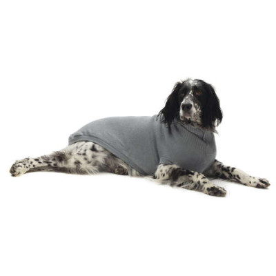 Pull-over pour chien Moscow, gris 35 cm