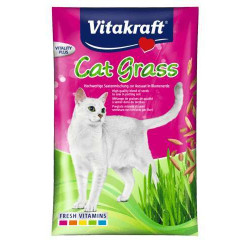 Cat-Gras Samen zu 24031 40g