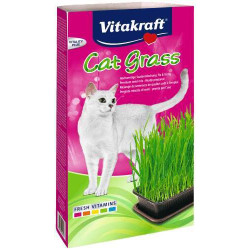 Cat-Gras Schale Katze 120g