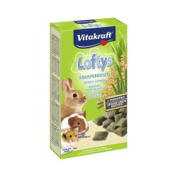 Loftys for rodents 100g