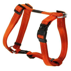 Geschirr Lumberjack XL (60-100 cm x 2,5 cm) orange