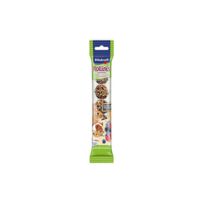 Rollinis® fruits des bois pour rongeurs 40g