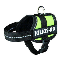 Harnais Power Julius-K9, Baby 1/XS,vert pastel