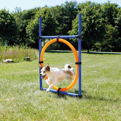 Fun Agility ring 115 x ø 3 cm, ø 65 cm