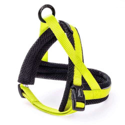 Harness Nordic Basic XXS Yellow