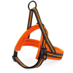 Freezack Nordic Sport Mini 4 Orange