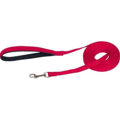 Longe de piste en sangle, avec poignée, nylon rouge, 10 m /15 mm