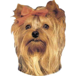 Yorkshire-Terrier, 2 autocollants