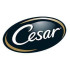 Cesar
