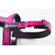 Neewa Sport Geschirr FUCSIA S