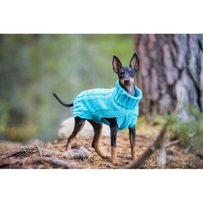 Wooly Knitwear pull pour chiens bleu ciel L