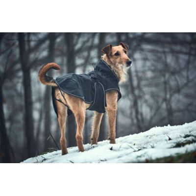 Hundemantel  Hunter Uppsala Softshell, 40 cm schwarz