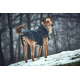 Hundemantel  Hunter Uppsala Softshell, 40 cm schwarz