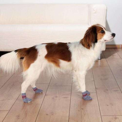 Chaussettes pour chien, anti-dérapant, L-XL gris