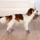 Chaussettes pour chien anti-dérapant S-M, gris