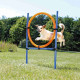 Fun Agility ring 115 x ø 3 cm, ø 65 cm