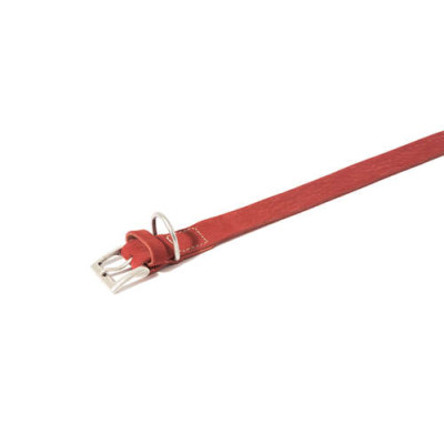 Fettleder-Halsband Da Vinci rot, 40x2,0 cm 