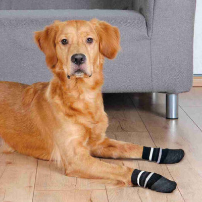 Chaussettes pour chiens, anti-dérapant, L 2 Pcs, noir avec Latex