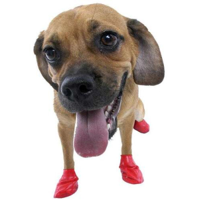 PawZ Dog Boots 12x XS Orange