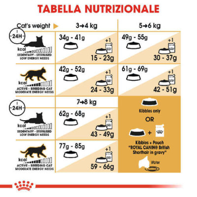  Royal Canin FBN British Shorthair 4kg